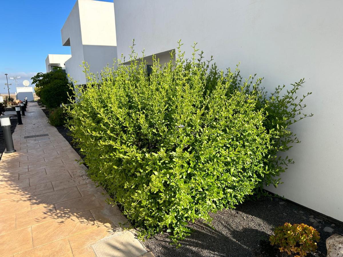 Casilla de Costa, La Oliva Villaverde (Fuerteventura) Exterior foto